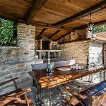 Dalmatian Irena Tatil Evi Bruska