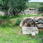 Dalmatian Irena Tatil Evi *