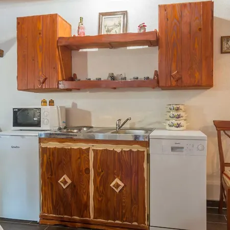 Dalmatian Irena Holiday home *