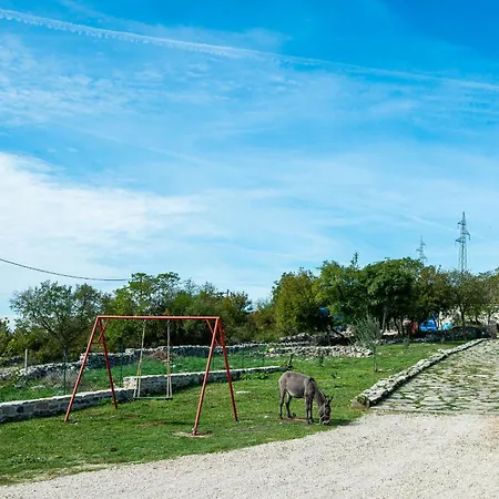 Tatil Evi Dalmatian Irena Bruska
