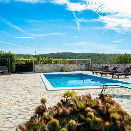 Dalmatian Irena Tatil Evi