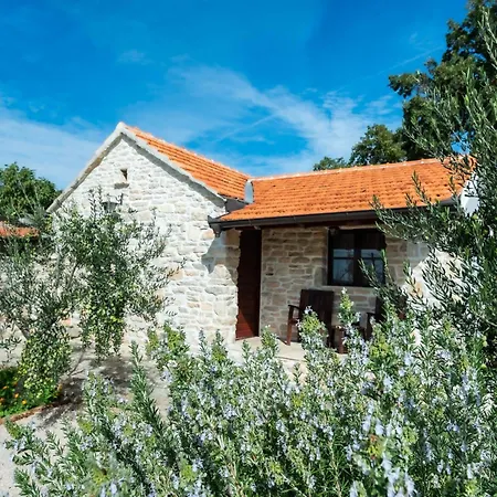 Dalmatian Irena Tatil Evi *
