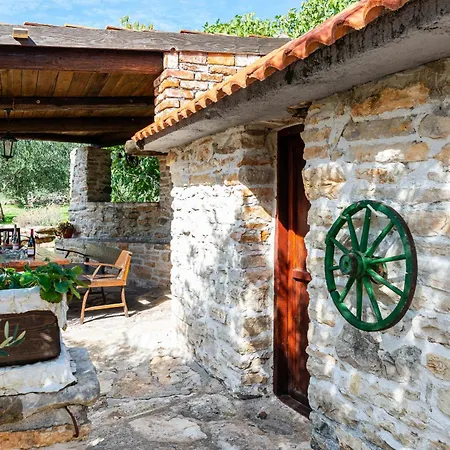 Dalmatian Irena * Bruska