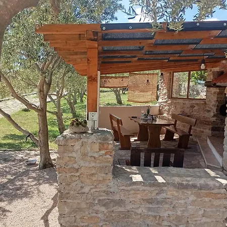 Dalmatian Irena Tatil Evi