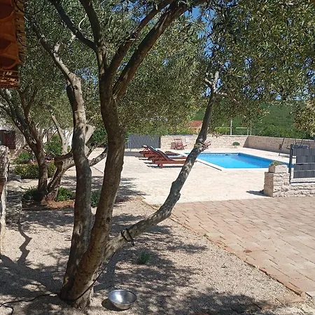 Tatil Evi Dalmatian Irena Bruska