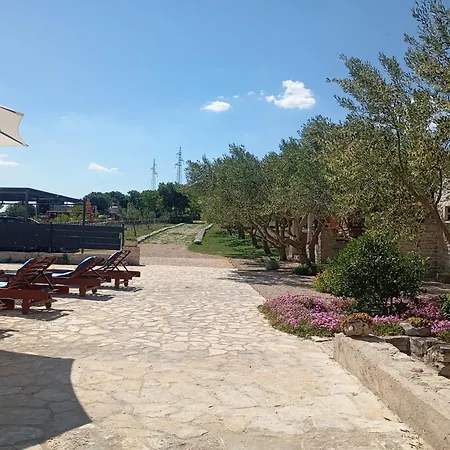 Tatil Evi Dalmatian Irena *